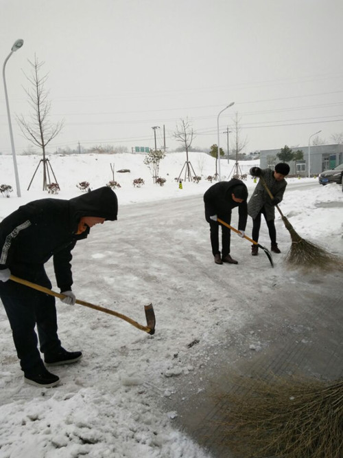 多措并舉戰(zhàn)大雪 上下齊心顯真情——安徽公司全體職工積極應對大雪冰凍天氣