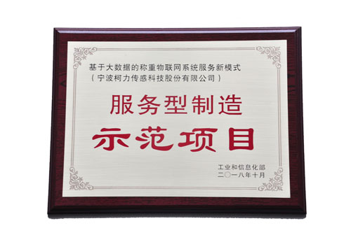 基于大數(shù)據(jù)的稱重物聯(lián)網(wǎng)系統(tǒng)服務(wù)新模式，榮獲工信部“服務(wù)型制造示范項(xiàng)目”