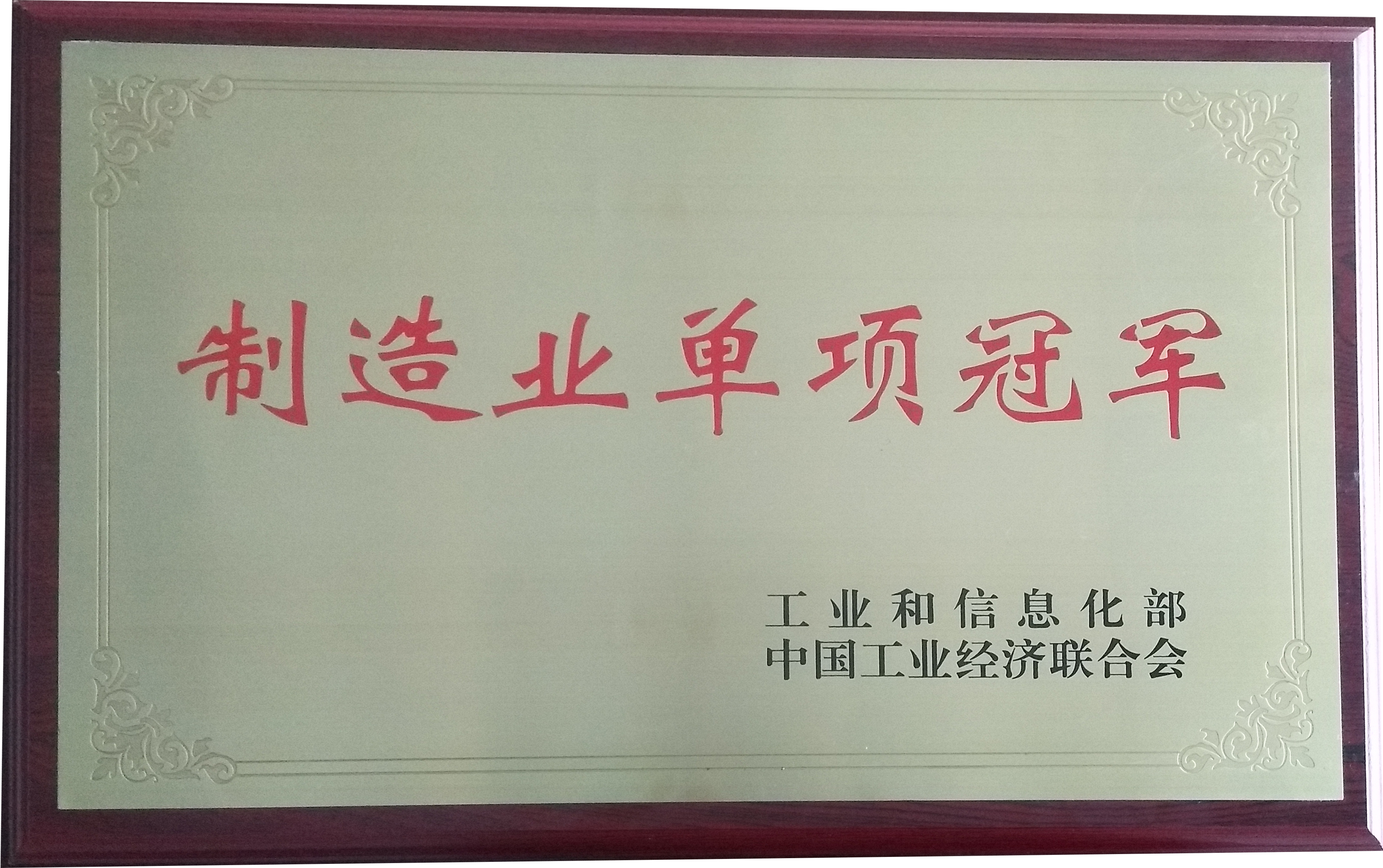公司榮獲國(guó)家級(jí)制造業(yè)單項(xiàng)冠軍企業(yè)