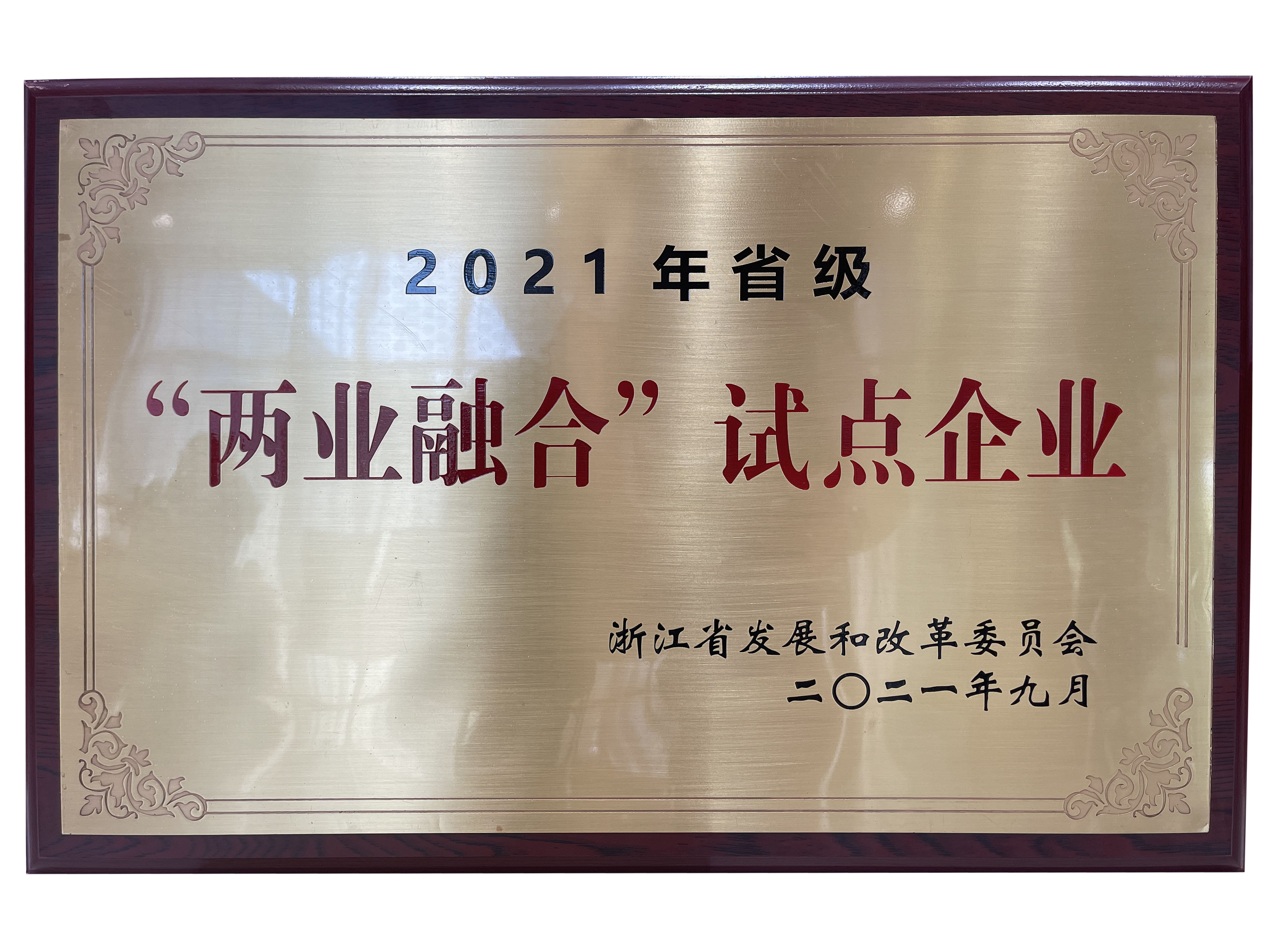 公司榮獲2021年省級(jí)“兩業(yè)融合”試點(diǎn)企業(yè)