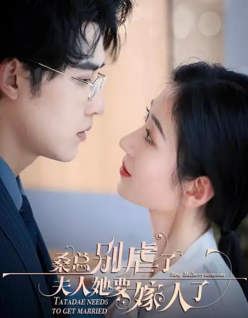 长风渡月 热播电视剧全集免费在线观看